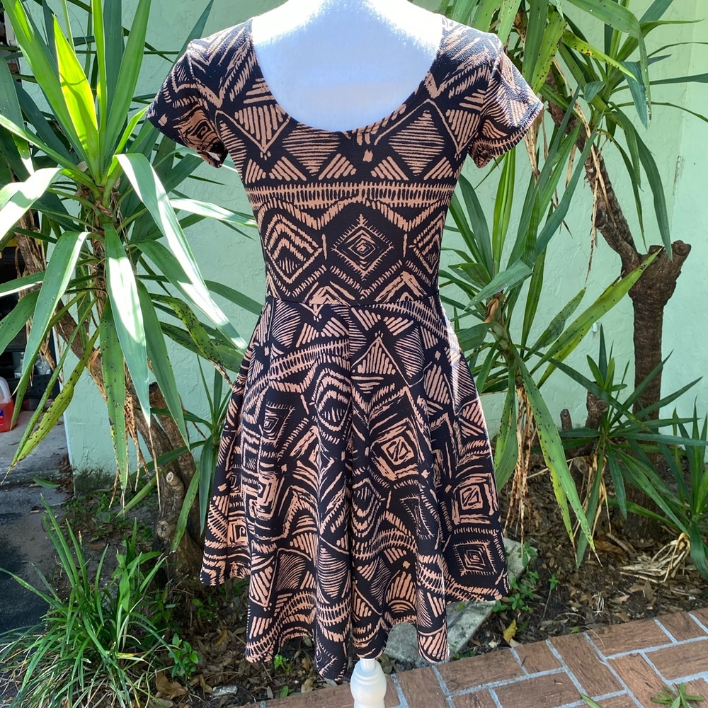 Brown and Black Fit and Flare dress
